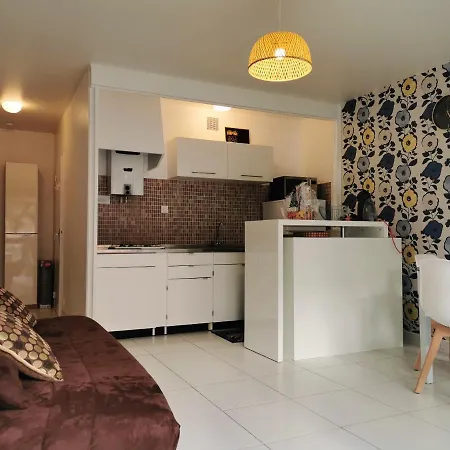 Cosy Avec Balcon Et Vue Jardin A Cyprien 25 M²