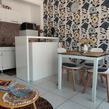 Apartment Cosy Avec Balcon Et Vue Jardin A Cyprien 25 M²