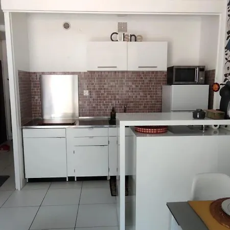 Apartment Cosy Avec Balcon Et Vue Jardin A Cyprien 25 M² *