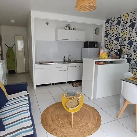 A Saint-cyprien - 25 M² Avec Balcon דירה סן סיפריאן